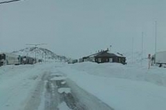 17238070_484056068651862_1873705557_n