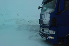 17238839_484056115318524_339892793_n