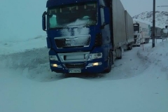 17270929_484056131985189_1238979160_n