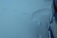 17274443_484056075318528_690722273_n